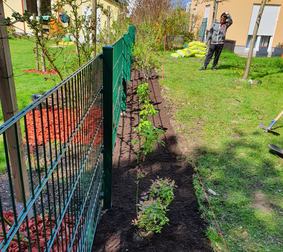 Gepflegtes Beet vom Gartenprofi